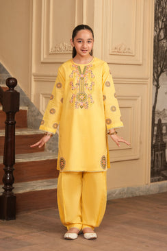 Gulnaar Embroidered Khaddar 02 Piece – Amberlight (RTW) 🔆