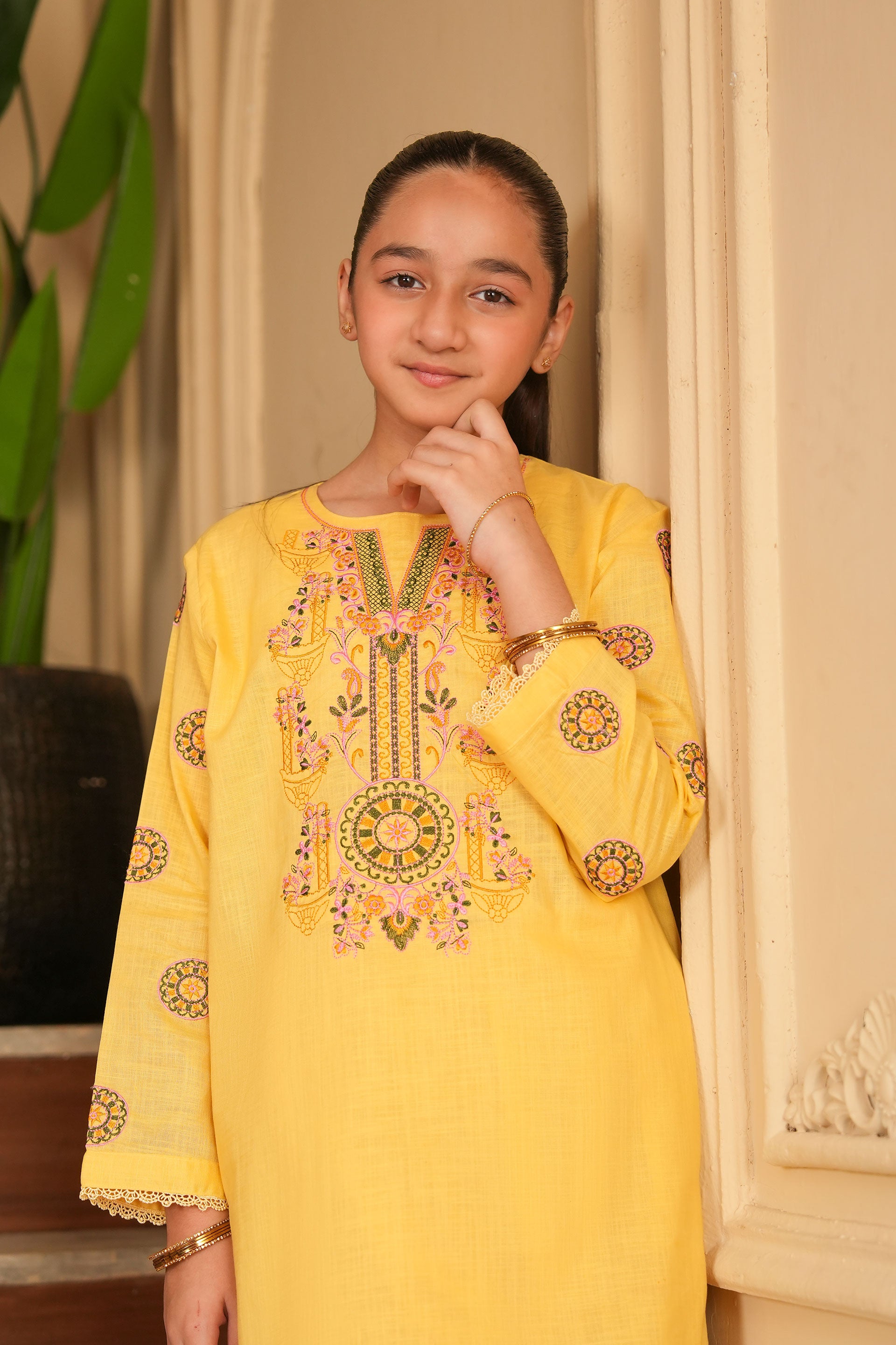 Gulnaar Embroidered Khaddar 02 Piece – Amberlight (RTW) 🔆