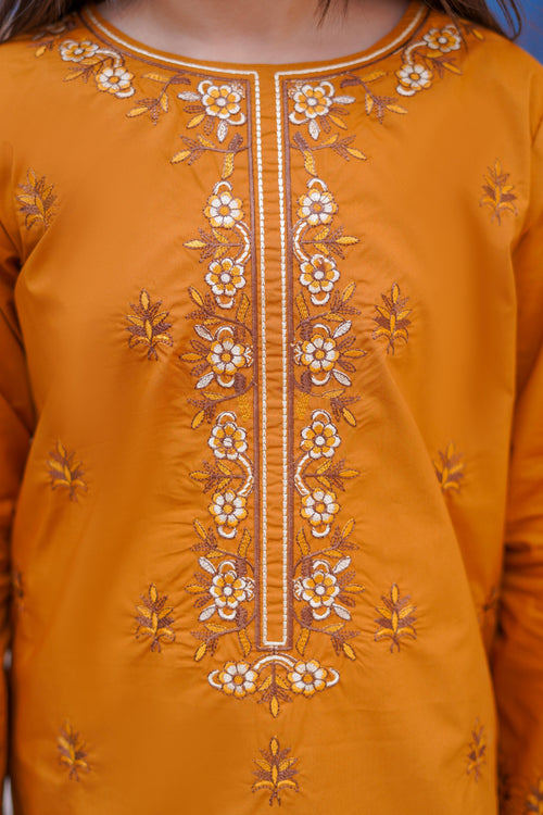 Citrus Glow Embroidered Lawn 2Pc – Festive Flame (RTW)